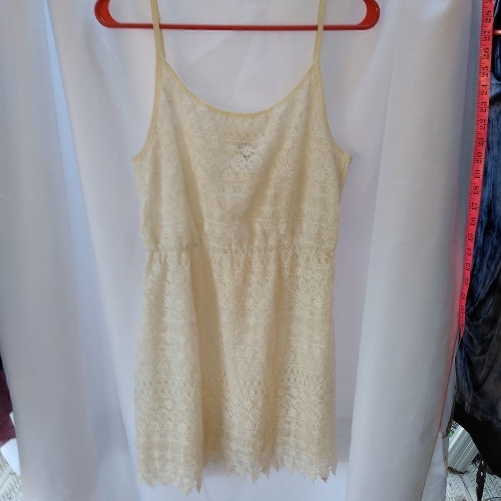 Divided lace top 